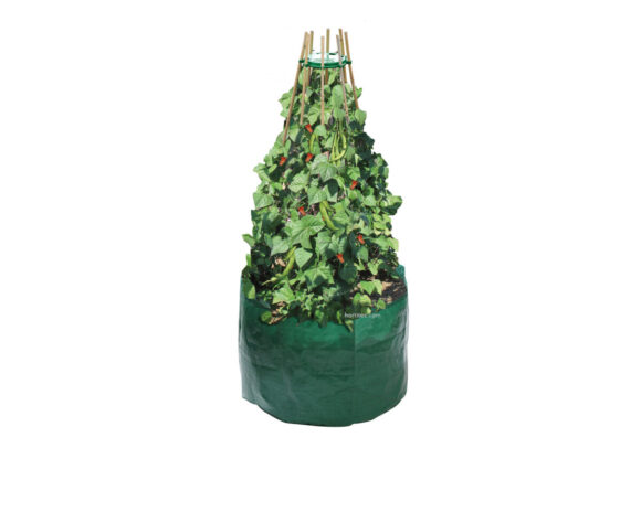 Bolsa cultivo alubia y guisante garland