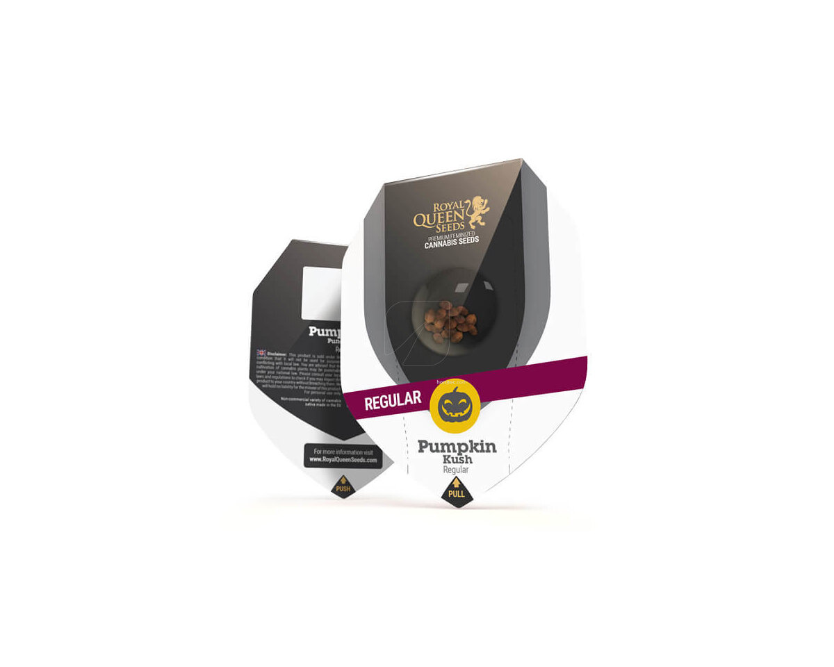 Pumpkin kush regular (10) royal queen seeds