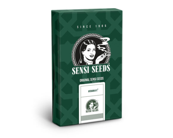 Afghani  1 regular (10) sensi seeds
