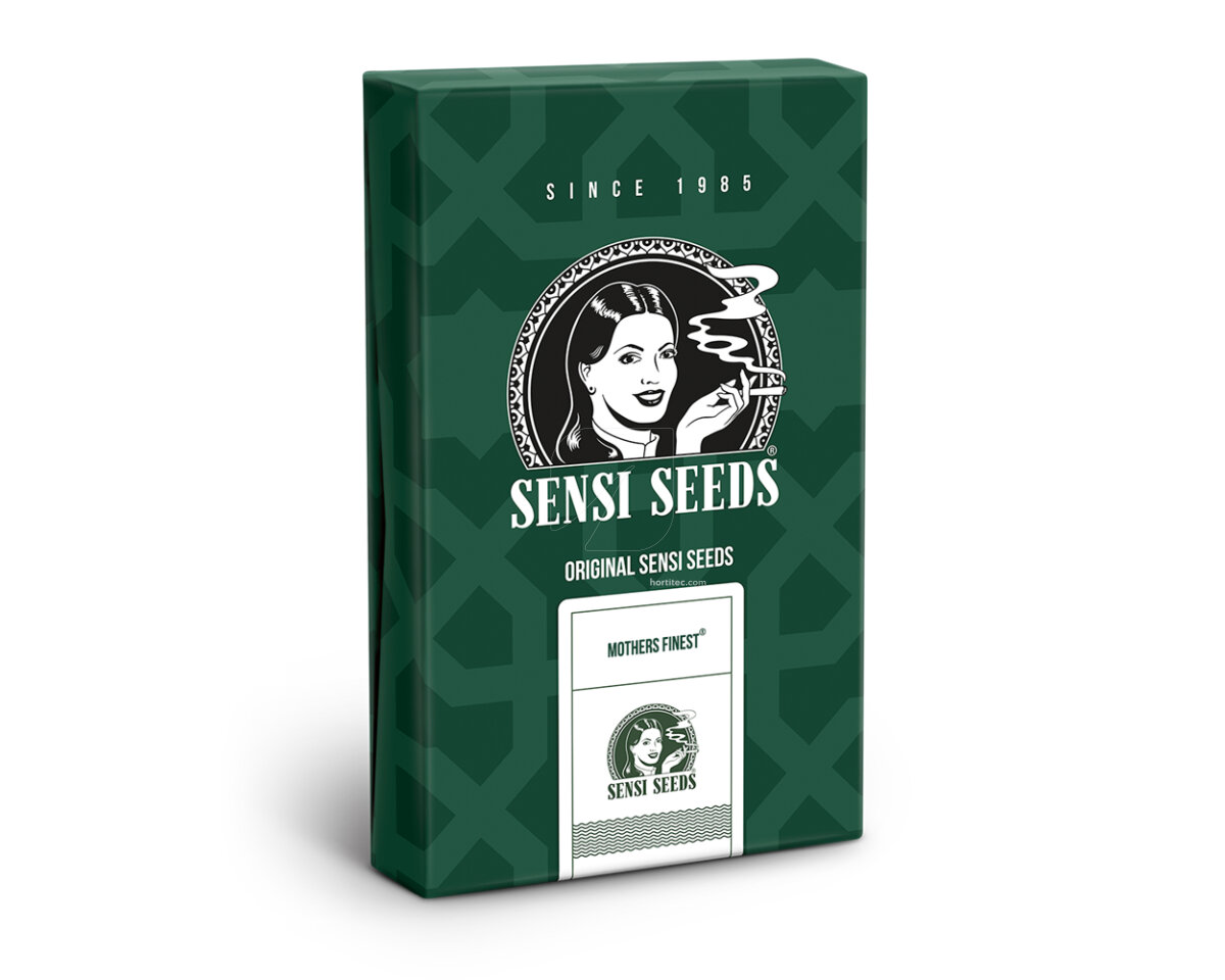 Mother finest regular (10) sensi seeds