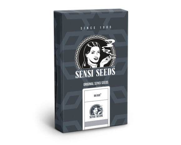 Big bud auto (3) sensi seeds