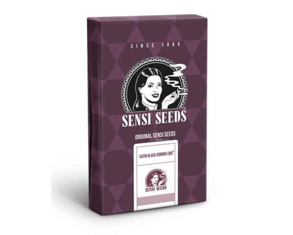 Satin black domina cbd (1) sensi seeds