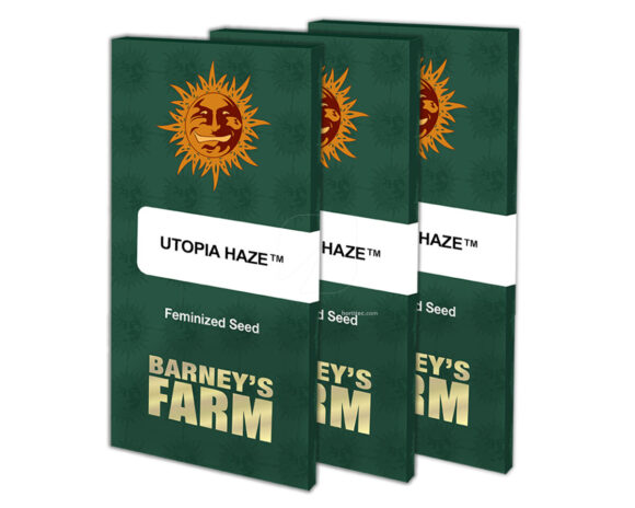 Utopia haze (5) 100% barney's farm seeds