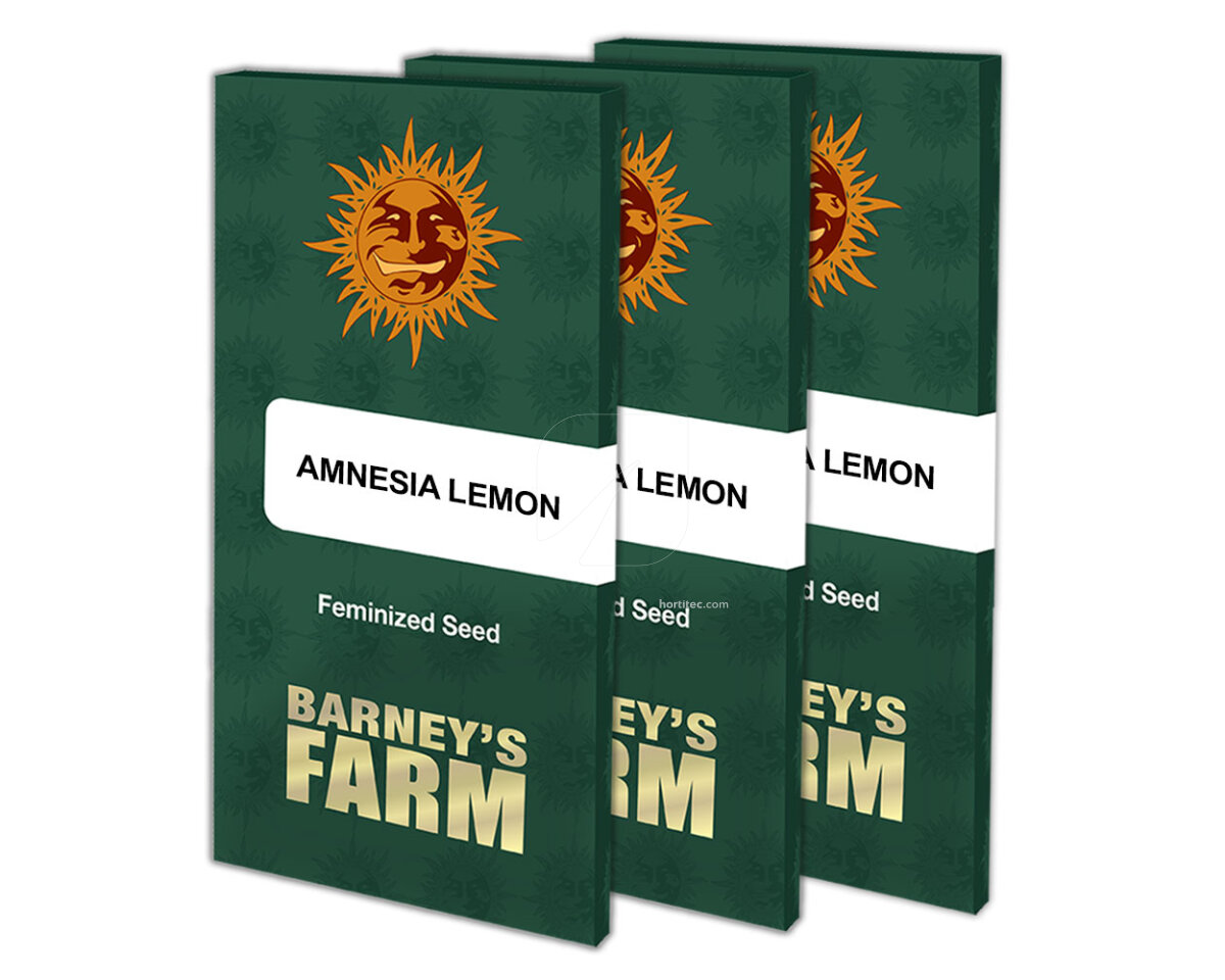 Amnesia lemon (5) 100% barney's farm seeds