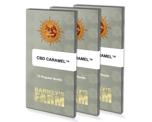 Cbd caramel (10) regular barney