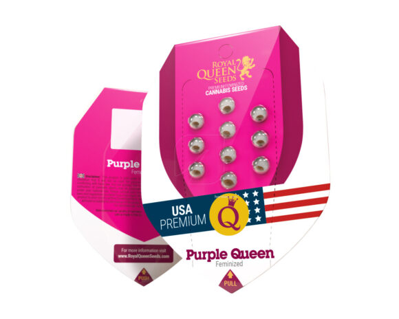 Purple queen (1) 100% royal queen seeds