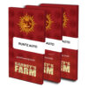 Runtz auto (1) auto barneys farm