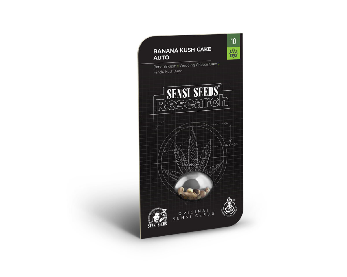Banana kush cake auto (1) auto sensi seeds