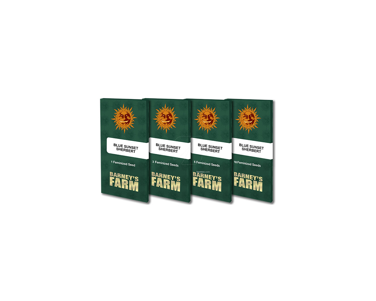 Blue sunset sherbet (1) 100% barneys farm
