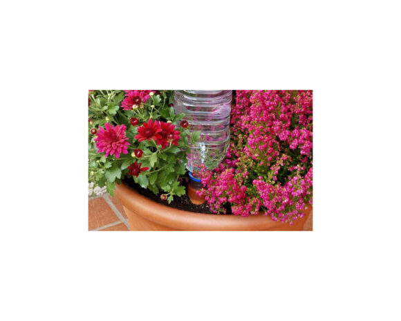Blumat easy blister (3 u) - Image 5