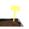Etiqueta pincho 17 cm (100 uds)