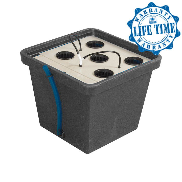 Cultimate aero 2" terra aquatica