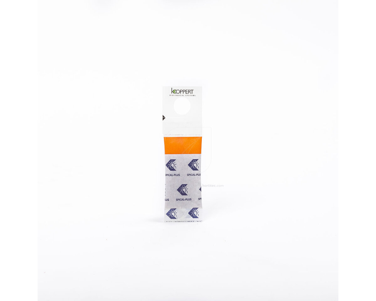 Spical-plus/100 sobres (neoseilus californicus) koppert