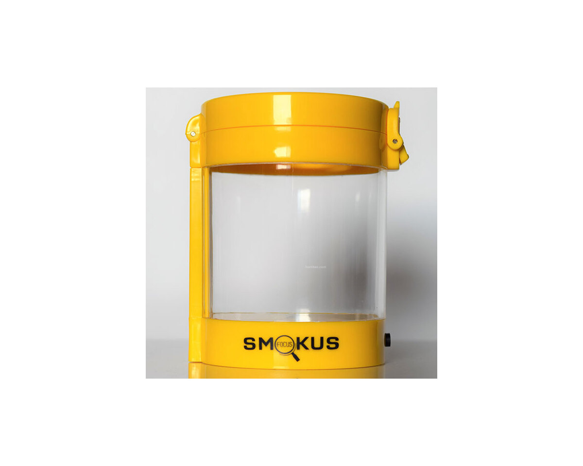 Bote conserva middleman verde sativa  smokus focus - Image 3