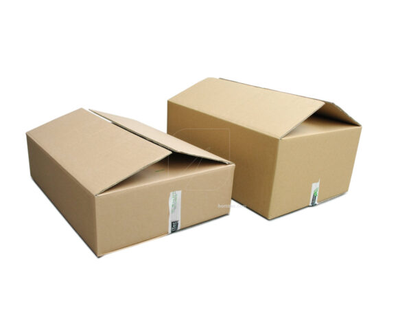 Caja carton 1 saco (690x500x300) (10 u) - Image 2