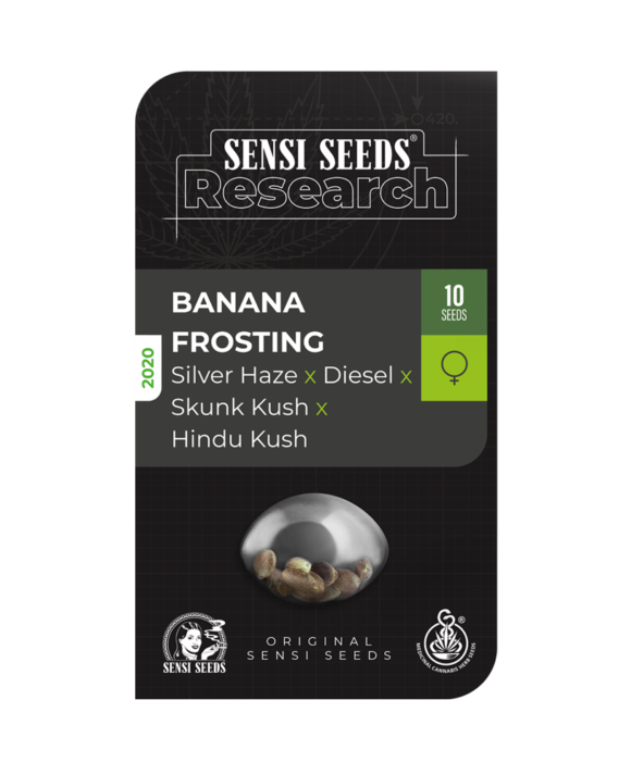 Banana frosting (1) sensi seeds