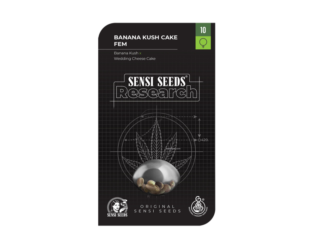 Banana kush cake (1) 100% sensi seeds