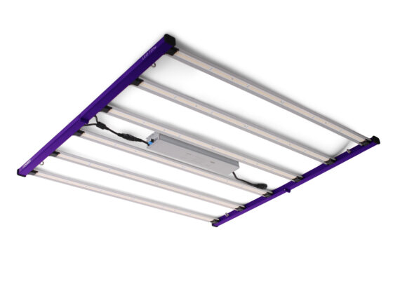 Sistema led cosmos 720w vanguard
