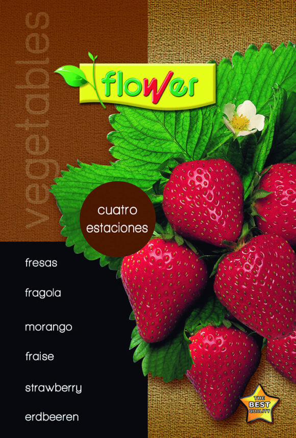 Fresas cuatro estaciones