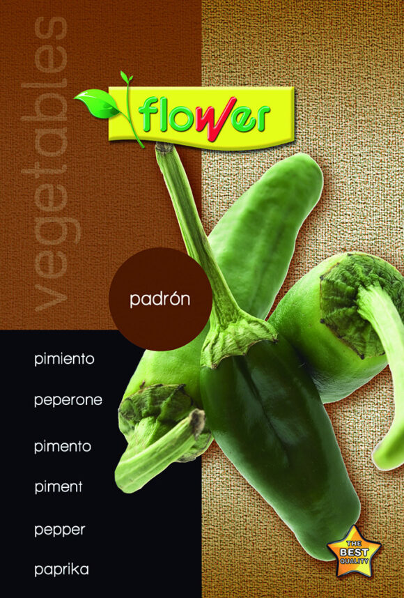 Pimentón padrón