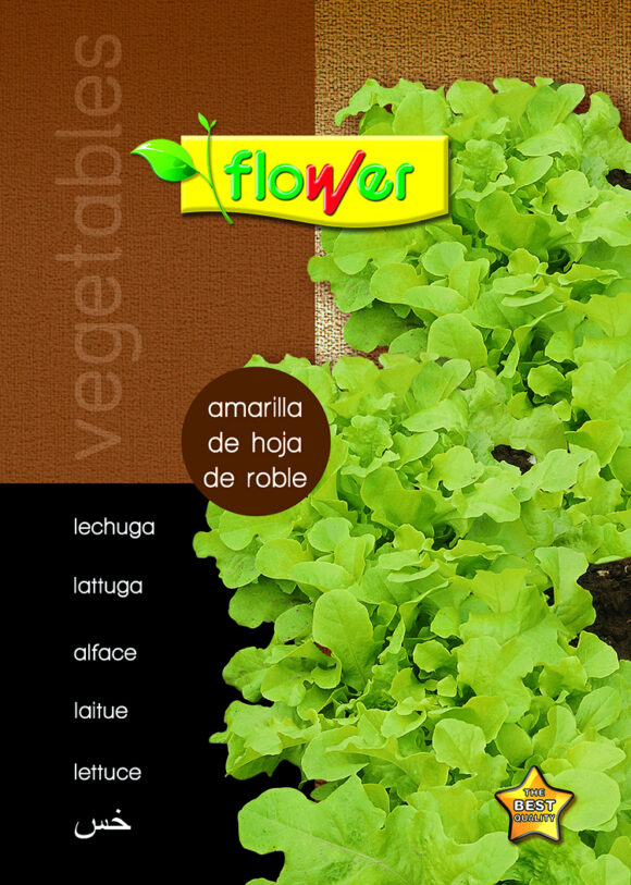 Lechuga bionda hoja de roble