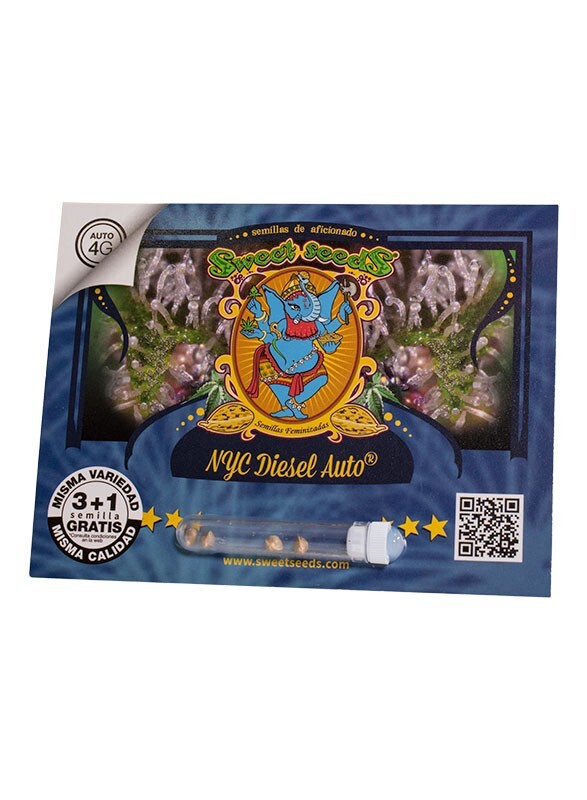 Nyc diesel auto (3) sweet seeds