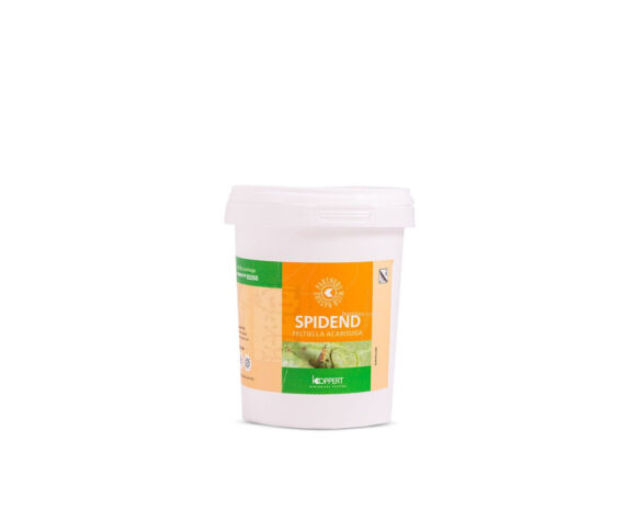 Spidend 250 cubo 550 mlkoppert