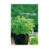 Stevia