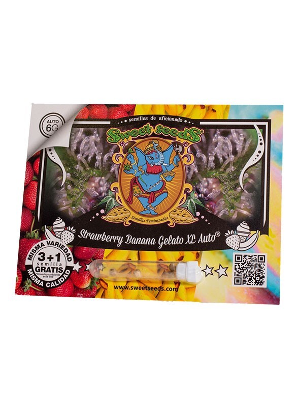 Strawberry banana gelato xl auto (3) sweet seeds